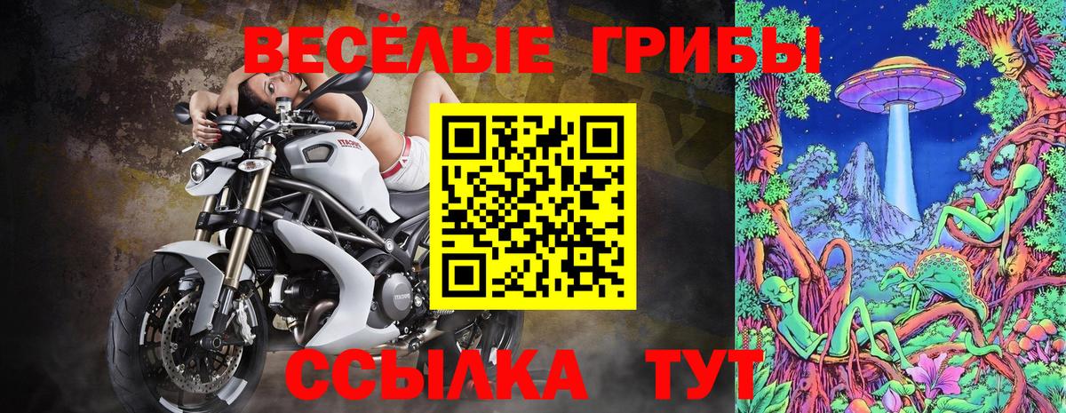 Карталы  Псилоцибиновые грибы MAGIC MUSHROOMS  Вход с VPN 